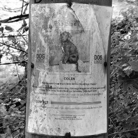 Old notice - I hope Colin was found as this is 4 years ago!